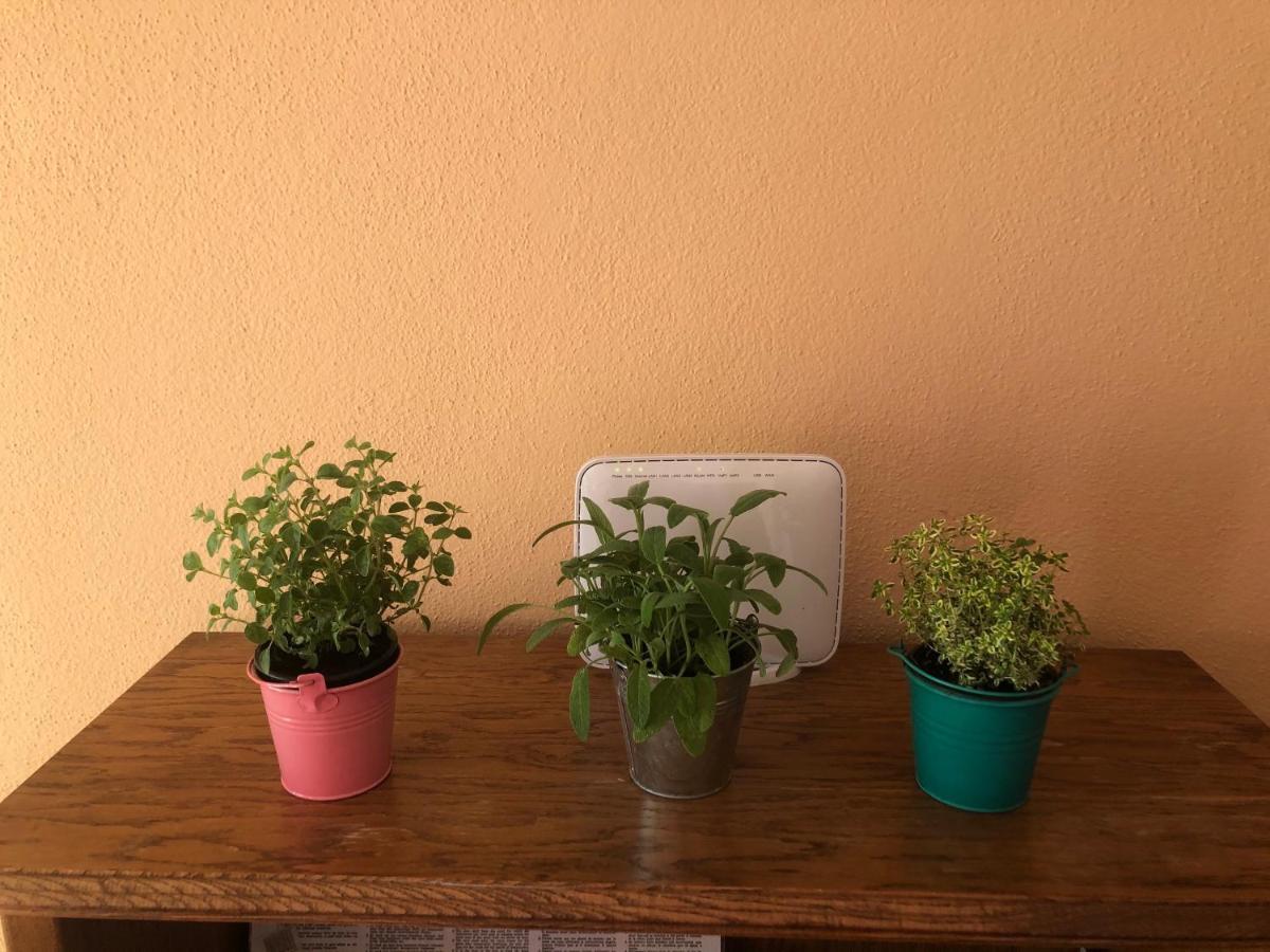 Apartments Fafandjel 拉布 外观 照片